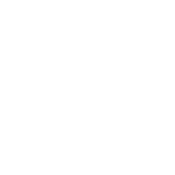 iMicrodoseNL_Website_Logos-Vice
